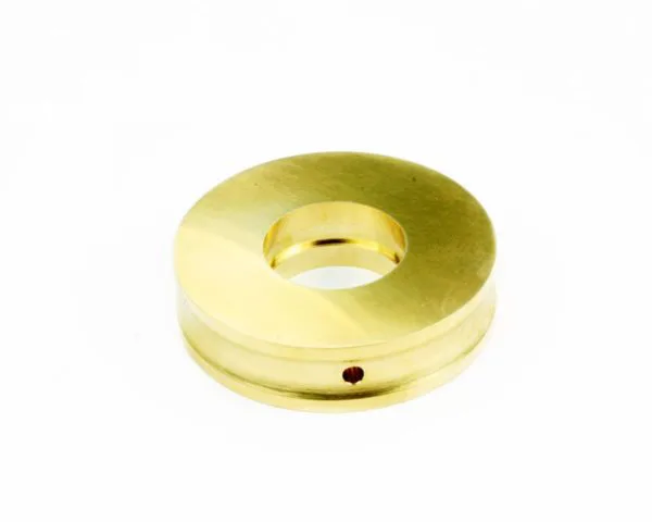 Bronze Seal Backup
